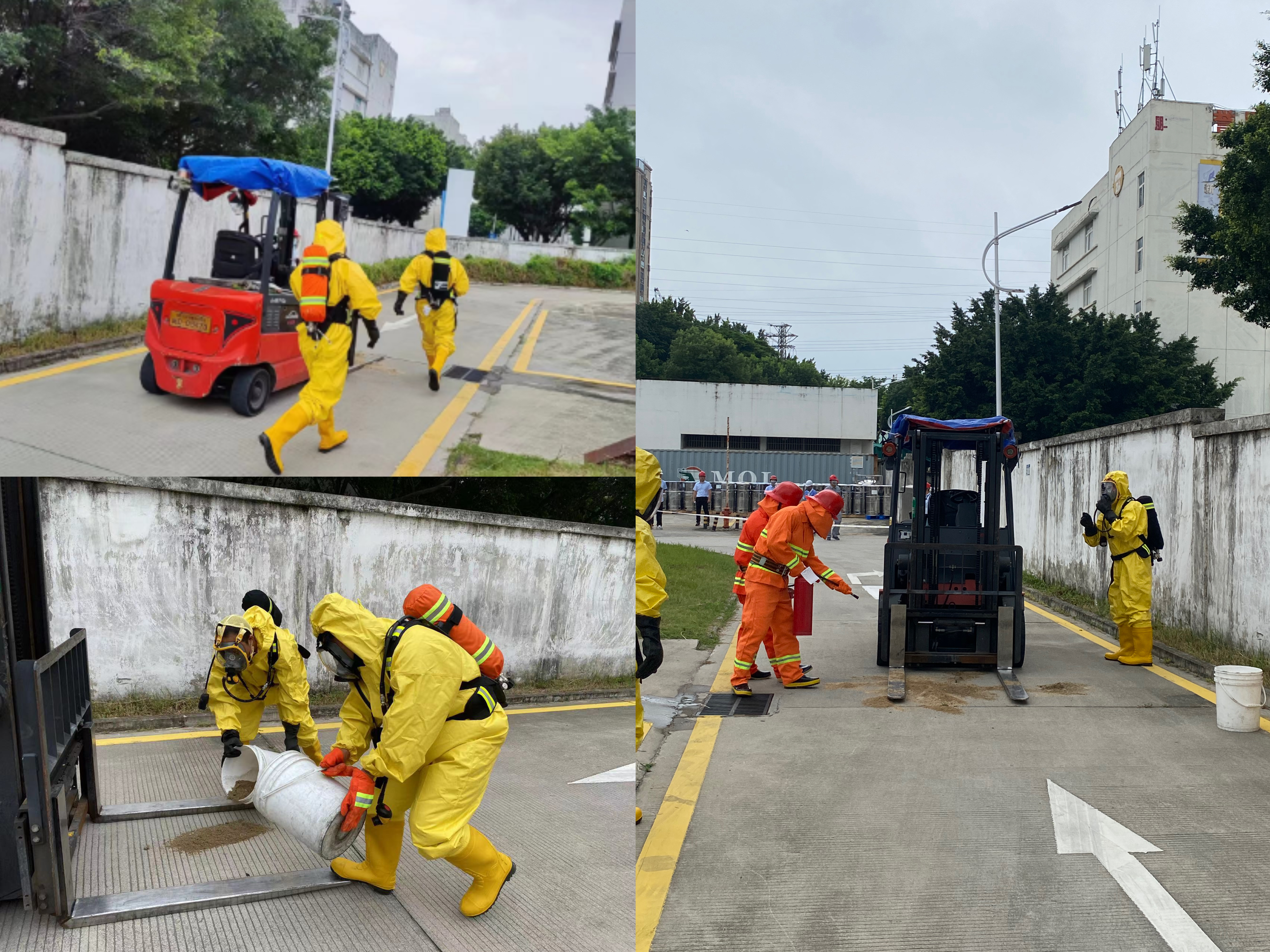 1686813637870077.jpg 1686813637870077.jpg